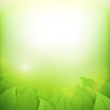 Abstract gradient green background with transparency leaf for ecology concept Stock Illustration