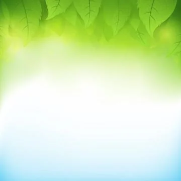Abstract gradient green background with transparency leaf for ecology concept Stock Illustration