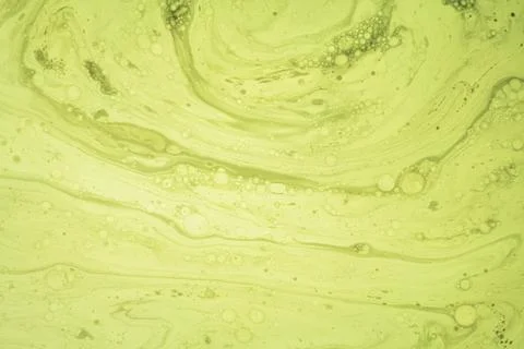 Abstract gradient green wavy background with blur Stock Photos