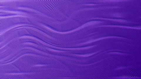 Abstract gradient purple waves seamlessly flowing. Stock Footage 294568588