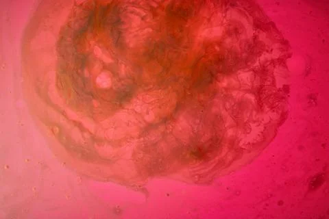 Abstract gradient red wavy background with blur Stock Photos