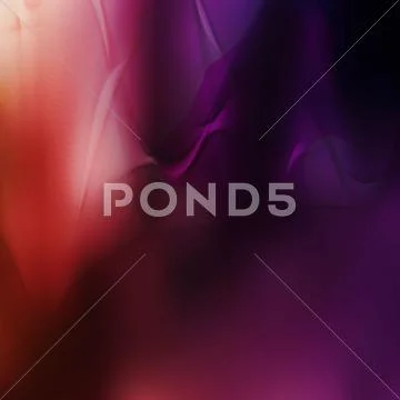 Abstract Gradient Wavy Background. Blurry Background With Lines And Waves