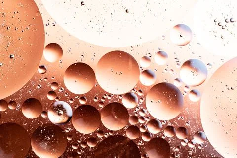 Abstract gradient from white to brown of round shapes Foto stock