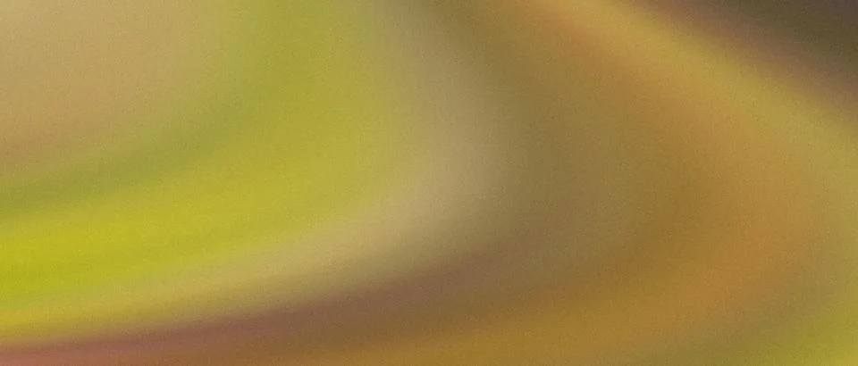Abstract grainy gradient background with wavy flowing yellow and ochre eart.. Stock Illustration