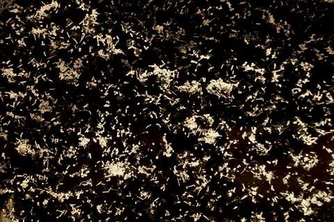 Abstract grainy surface forms gritty backdrop. Dark speckled texture with Stock Photos