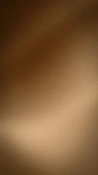Abstract grainy vertical background in brown beige and tan shades with a so.. 스톡 사진