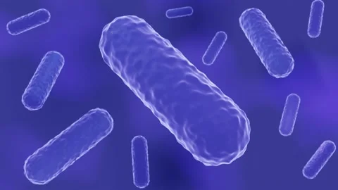 Abstract gram-positive bacteria Stock Footage 151016451