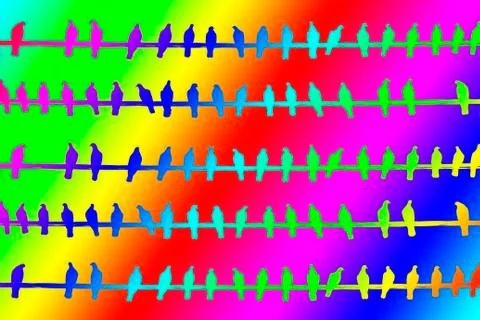Abstract graphic image with rainbow gradient and silhouettes of pigeons on po Stock-Illustration