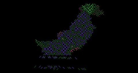 Abstract Graphic Lines Creating Map of Pakistan Stock Footage 327646109