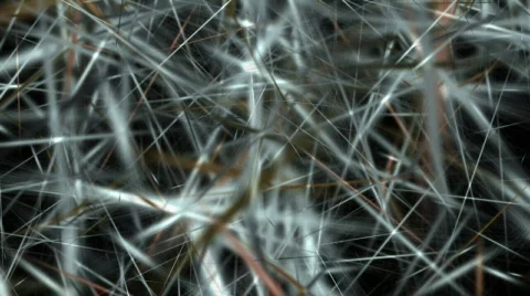 Abstract grass background Stock Footage 362567