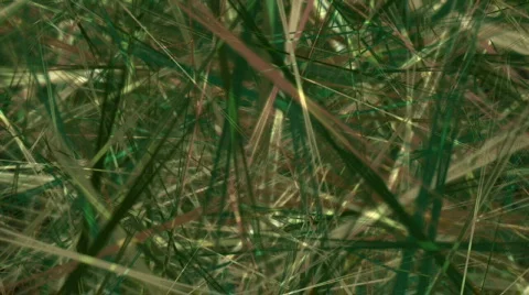 Abstract grass background Stock Footage 362570