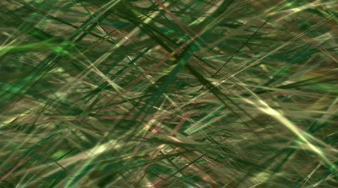Abstract grass background Stock Footage 362574