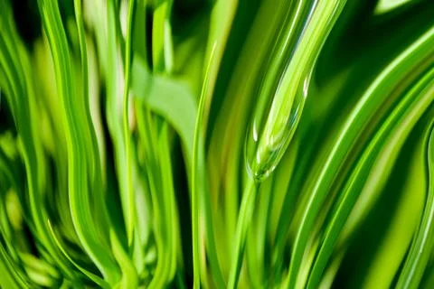 Abstract grass background pattern in green Stock Illustration