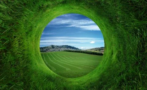 Abstract grass background Stock Photos