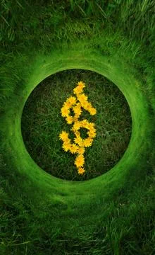 Abstract grass background Stock Photos