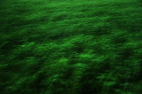 Abstract grass moving by evening wind background Stock Photos