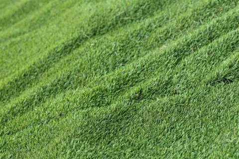 Abstract grass texture background, artificial green grass Stock Photos