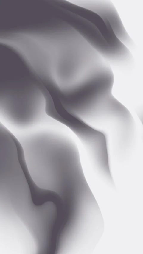 Abstract Gray and White Fluid Shapes with Soft Gradients and Smooth Textures Stock Footage 310643563