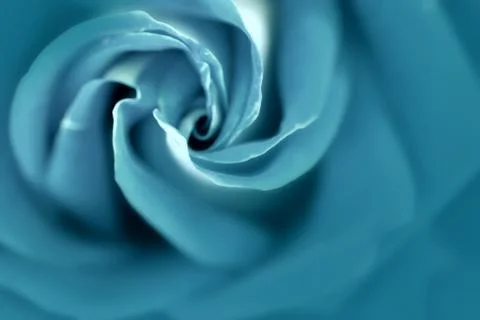 Abstract Gray Background In The Shape Of Rose Flower Stock Illustration