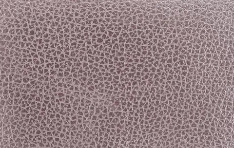 Abstract gray color texture background, snake skin, crocodile skin Stock Photos