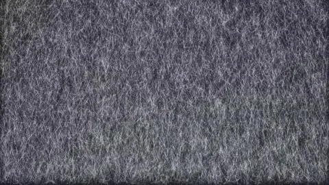 Abstract gray fiber texture animation with subtle motion Stock Footage 328449009