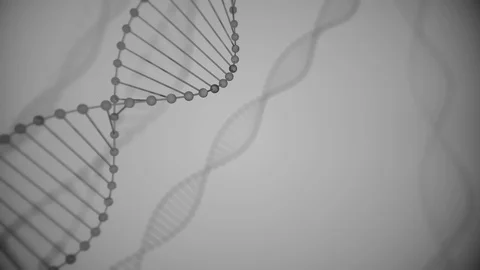Abstract gray glittering DNA double helix with depth of field. Animation of DNA Stock Footage 124541173