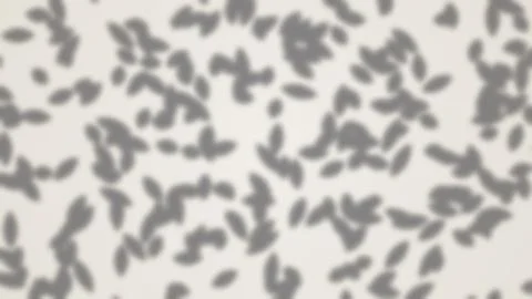 Abstract gray noise texture with random digital pattern Stock Illustration
