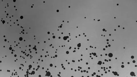 Abstract gray with pattern black dot painted wall background Stock Photos
