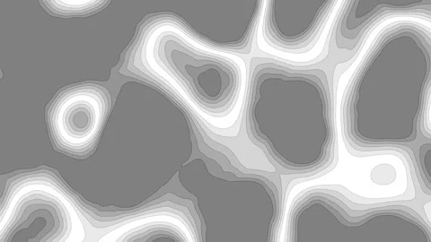 Abstract Gray Scale Topographic Animation: Dynamic Motion Graphics with a N.. Stock Footage 300074623