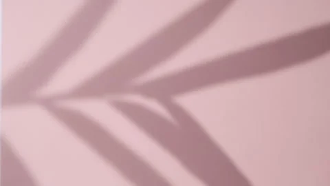 Abstract gray shadows of overlapping natural leaves fall on pink wall Stock Footage 251414326