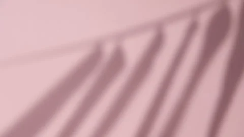 Abstract gray shadows of overlapping natural leaves fall on pink wall Stock Footage 251414771