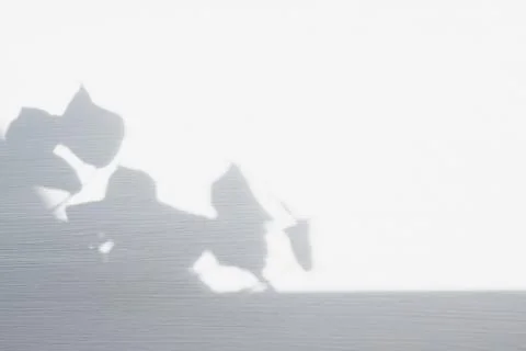 Abstract gray-white background. Shadows on a wooden background , painted with Stock Photos