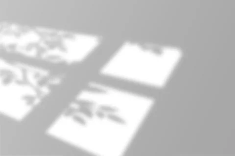 Abstract gray window and tree shadow overlay on white wall Stock Illustration