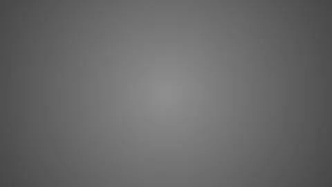 Abstract Grayscale Camouflage Pattern Background with Soft Gradient Center. Stock Footage 333915481
