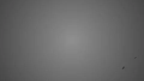Abstract Grayscale Camouflage Pattern Motion Background. Stock Footage 333915489