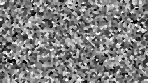 Abstract grayscale mosaic noise pattern creates organic moving texture for .. Stock Footage 345547852