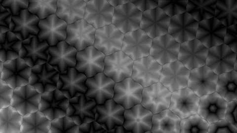 Abstract grayscale pattern with flower-like shapes, intricate design, and r.. Stock Footage 310709647