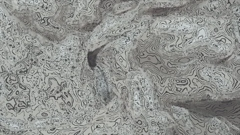 Abstract Grayscale Topographic Line Pattern Background Texture Stock Footage 341875380
