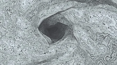 Abstract Grayscale Topographic Line Pattern Background Texture Stock Footage 341875384
