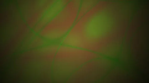 Abstract Green and Brown Gradient Motion Background with Flowing Curved Lig.. Stock Footage 344715925