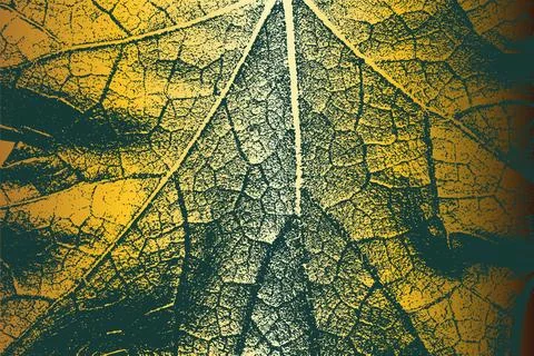 Abstract Green and Gold Leaf Texture Art Ilustración de archivo