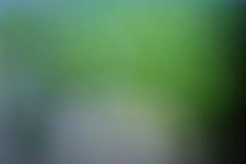 Abstract green and grey gradient background with soft out of focus texture Stock Photos