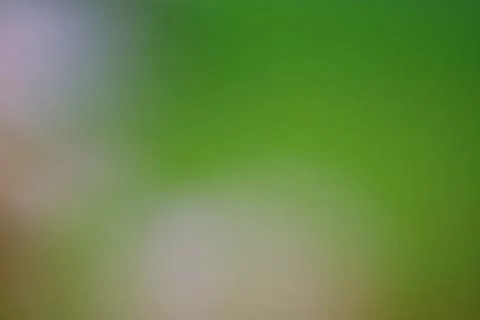 Abstract green and soft light gradient background with copy space Stock Photos
