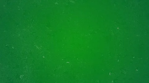 Abstract green background animation. Stock Footage 312501288