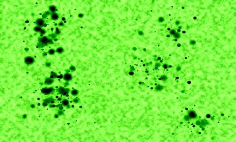 Abstract green background with black splatter effect design for various cre.. Stock Illustration