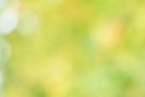 Abstract green background with blurred light, focus blur for template Foto stock