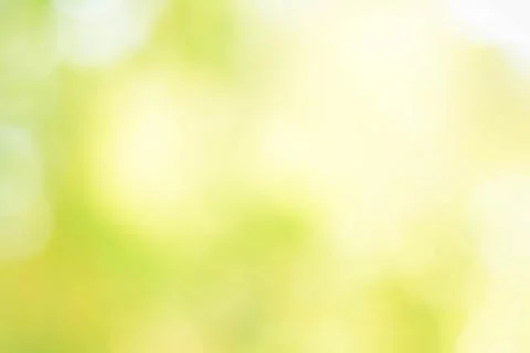 Abstract green background with blurred light, focus blur for template Foto stock
