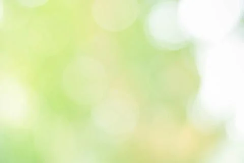 Abstract green background with blurred light, focus blur for template Stock Photos
