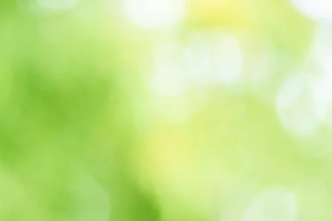 Abstract green background with blurred light, focus blur for template Stock Photos