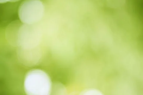 Abstract green background with blurred light, focus blur for template Foto stock